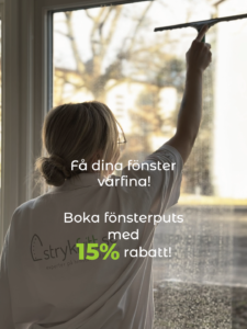 fönsterputs diskmedel